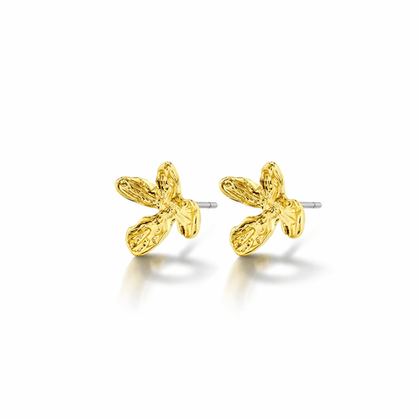 Hovedbilde PILGRIM AGLAIA øredobber gullbelagt - Ø10mm