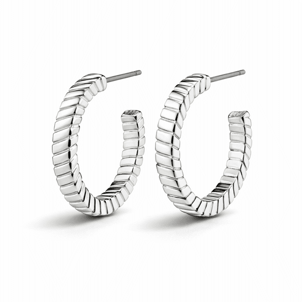 Hovedbilde PILGRIM JOANNA ørepynt, sølvbelagt- Ø20mm